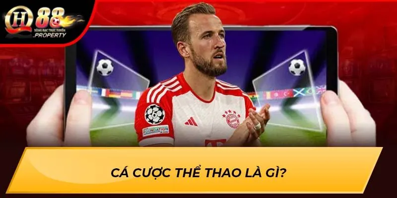 Cá cược thể thao là gì? Cá cược thể thao là gì?