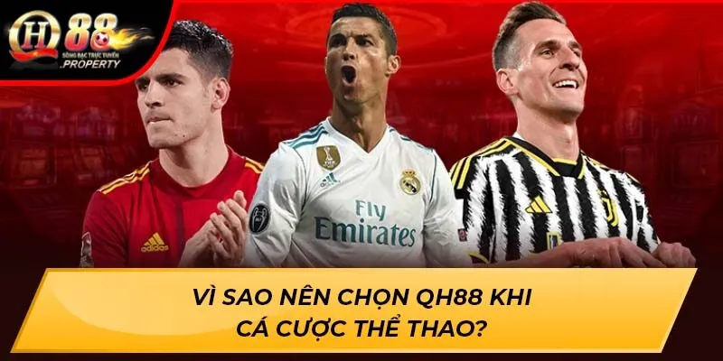 Vì sao nên chọn QH88 khi cá cược thể thao? Vì sao nên chọn QH88 khi cá cược thể thao?